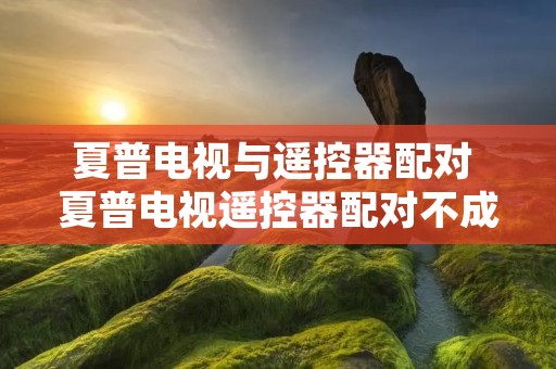 夏普电视与遥控器配对 夏普电视遥控器配对不成功怎么办