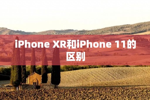 iPhone XR和iPhone 11的区别