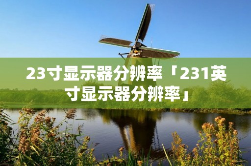 23寸显示器分辨率「231英寸显示器分辨率」