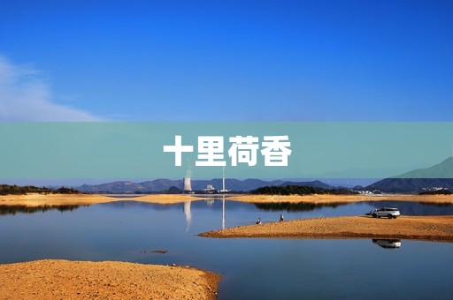 十里荷香：荷花之美景在你身边