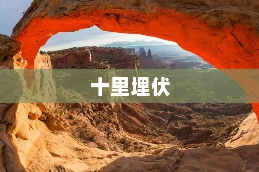十里埋伏：一场惊心动魄的战争之旅