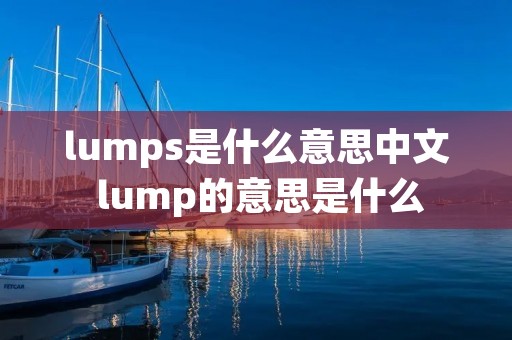 lumps是什么意思中文 lump的意思是什么
