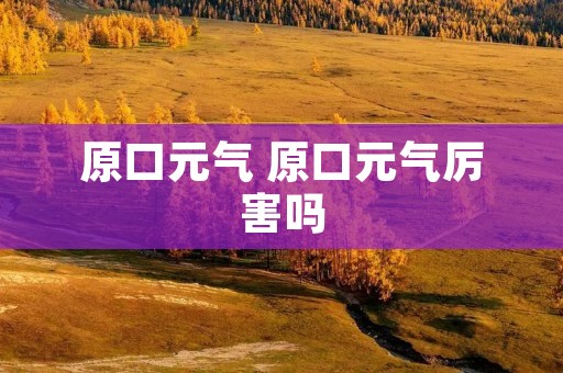 原口元气 原口元气厉害吗 原口元气 原口元气厉害吗