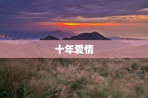 十年爱情：见证岁月流转的真爱