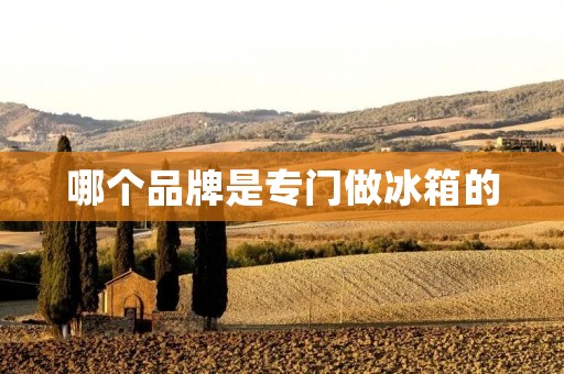 哪个品牌是专门做冰箱的 哪个品牌是专门做冰箱的