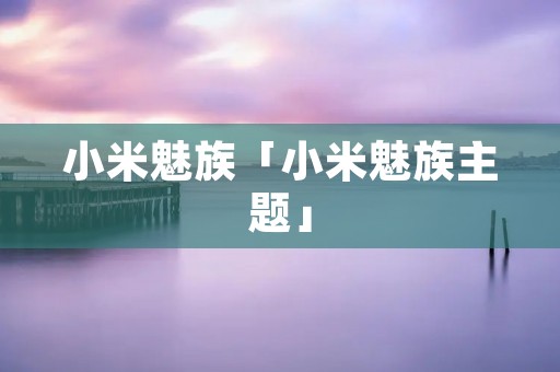小米魅族「小米魅族主题」