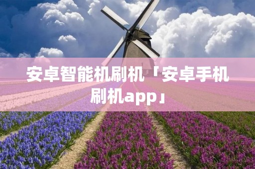 安卓智能机刷机「安卓手机刷机app」