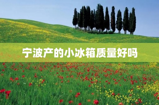 宁波产的小冰箱质量好吗
