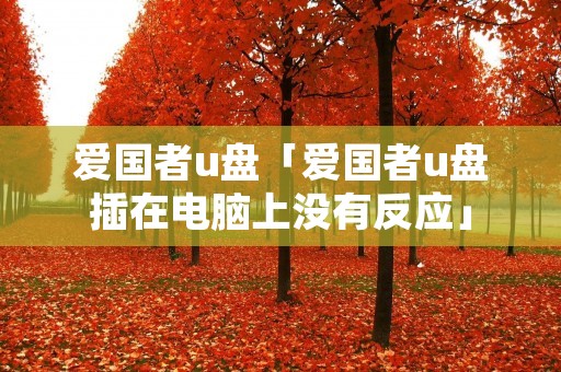 爱国者u盘「爱国者u盘插在电脑上没有反应」