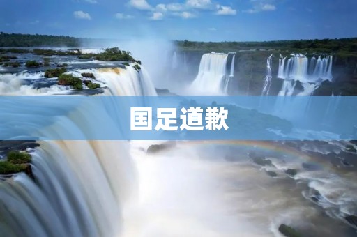 国足道歉:勇敢面对错误,迈向新的开始 国足道歉:勇敢面对错误,迈向新的开始