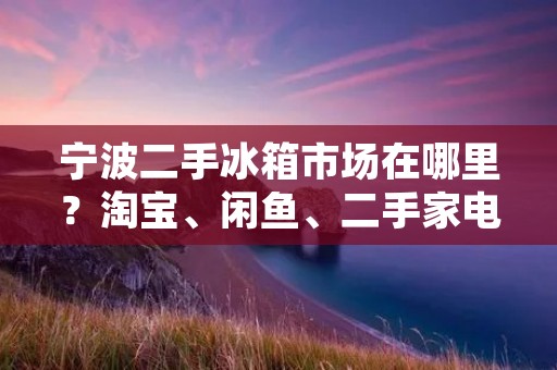 宁波二手冰箱市场在哪里？淘宝、闲鱼、二手家电市场等多个平台成为了寻找宁波二手冰箱的首选。在这些平台上，你可以找到各式各样的二手冰箱，从价格低廉的旧款冰箱到性能卓越的高端产品，应有尽有。下面，本文将为你详细介绍宁波二手冰箱市场的几个主要渠道。