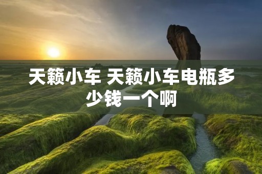 天籁小车 天籁小车电瓶多少钱一个啊 天籁小车 天籁小车电瓶多少钱一个啊