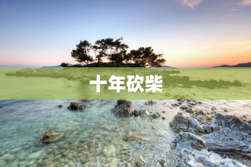 十年砍柴:坚持与收获的奇迹