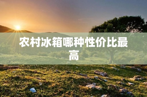 农村冰箱哪种性价比最高