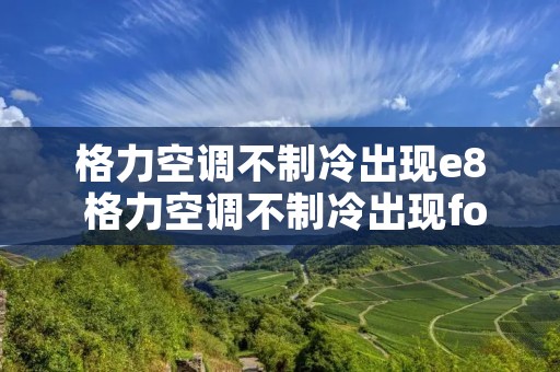 格力空调不制冷出现e8 格力空调不制冷出现fo字母