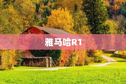 雅马哈R1:纵情飞驰的速度之王 雅马哈R1:纵情飞驰的速度之王