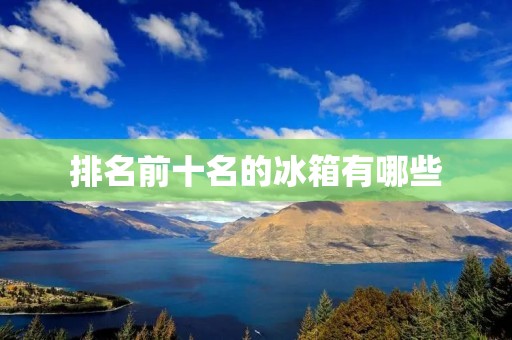 排名前十名的冰箱有哪些