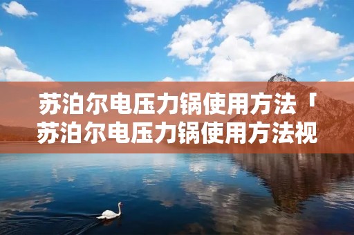 苏泊尔电压力锅使用方法「苏泊尔电压力锅使用方法视频教程煲汤」