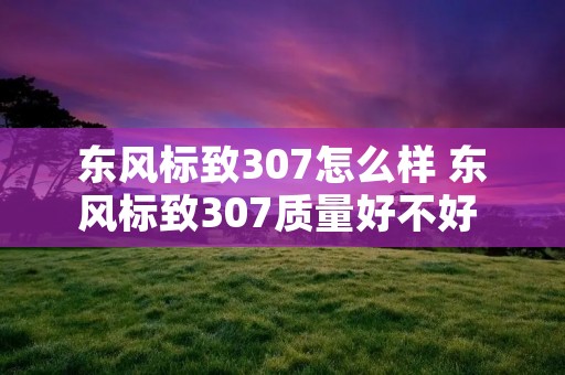 东风标致307怎么样 东风标致307质量好不好 小毛病多不多