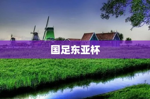 国足东亚杯：坎坷路上的机遇与挑战
