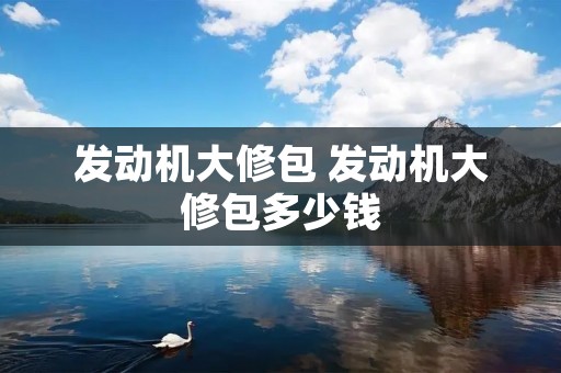 发动机大修包 发动机大修包多少钱