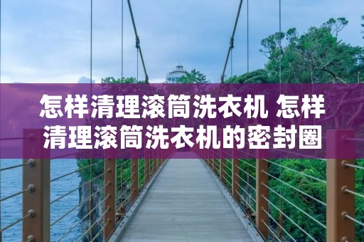 怎样清理滚筒洗衣机 怎样清理滚筒洗衣机的密封圈 怎样清理滚筒洗衣机 怎样清理滚筒洗衣机的密封圈