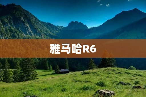 雅马哈R6:速度与**的完美结合 雅马哈R6:速度与**的完美结合