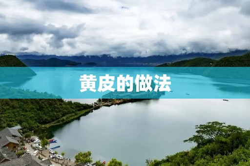 黄皮的做法:美味可口的黄皮菜谱分享 黄皮的做法:美味可口的黄皮菜谱分享
