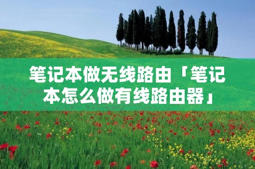笔记本做无线路由「笔记本怎么做有线路由器」