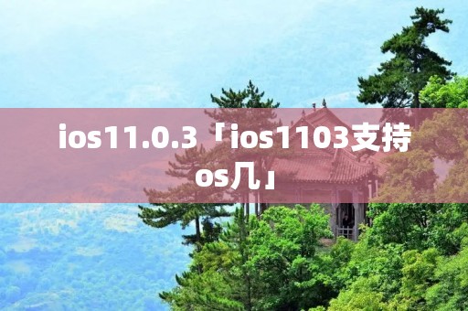 ios11.0.3「ios1103支持os几」