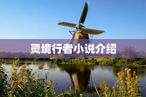 灵境行者小说介绍