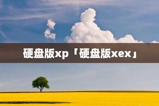 硬盘版xp「硬盘版xex」