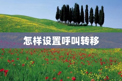 怎样设置呼叫转移