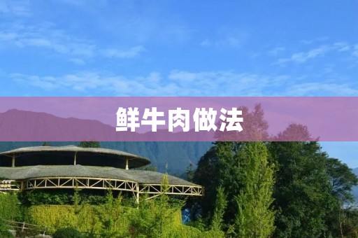 鲜牛肉做法:美味佳肴尽在口中 鲜牛肉做法:美味佳肴尽在口中