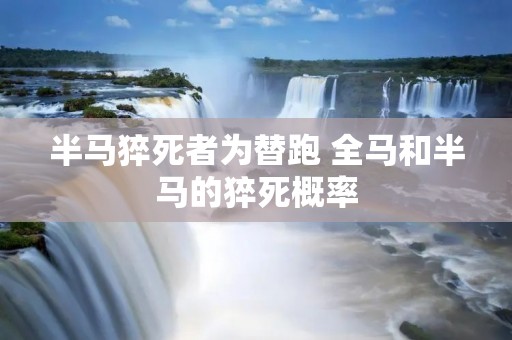 半马猝死者为替跑 全马和半马的猝死概率 半马猝死者为替跑 全马和半马的猝死概率
