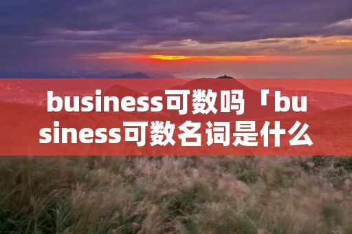business可数吗「business可数名词是什么意思」