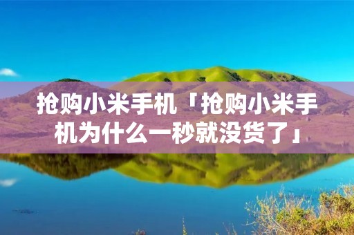 抢购小米手机「抢购小米手机为什么一秒就没货了」