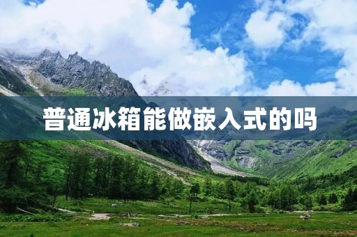 普通冰箱能做嵌入式的吗