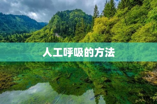 人工呼吸的方法：急救技能的重要一环