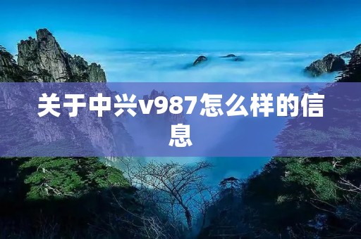 关于中兴v987怎么样的信息 关于中兴v987怎么样的信息