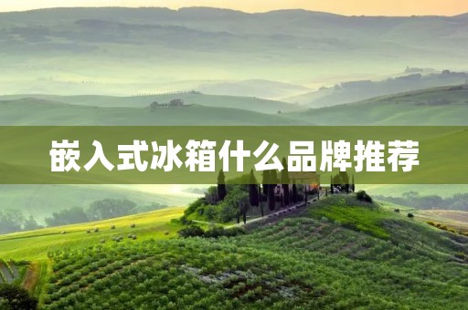 嵌入式冰箱什么品牌推荐