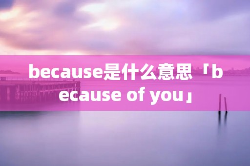 because是什么意思「because of you」
