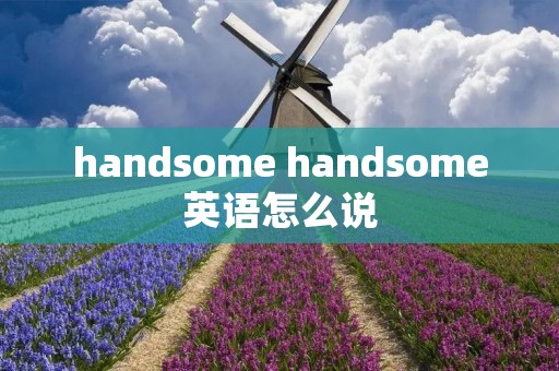 handsome handsome英语怎么说
