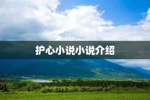 护心小说小说介绍