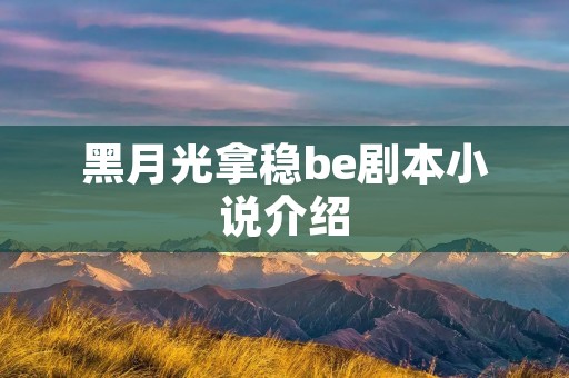 黑月光拿稳be剧本小说介绍