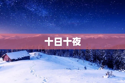 十日十夜：探索未知的冒险之旅