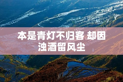 本是青灯不归客 却因浊酒留风尘
