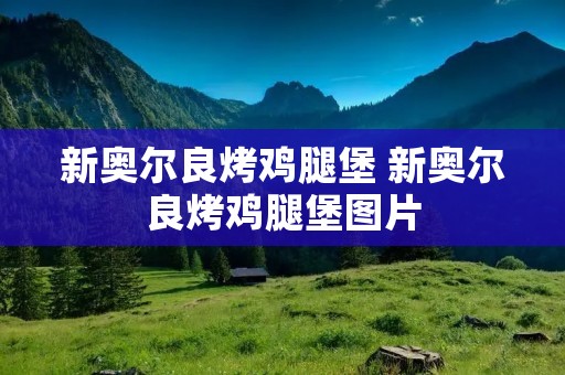 新奥尔良烤鸡腿堡 新奥尔良烤鸡腿堡图片