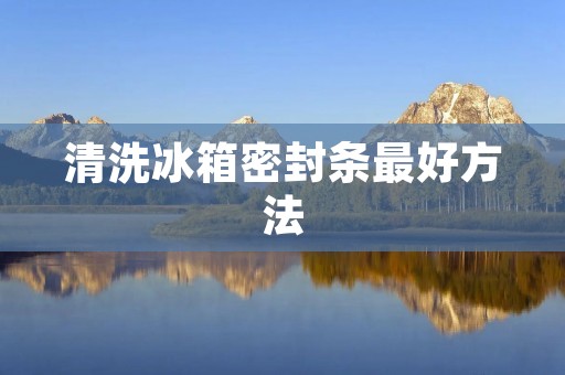 清洗冰箱密封条最好方法:轻松保持冰箱密封条的清洁与耐用 清洗冰箱密封条最好方法:轻松保持冰箱密封条的清洁与耐用