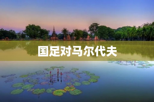 国足对马尔代夫:亚洲杯预选赛中的重要一役 国足对马尔代夫:亚洲杯预选赛中的重要一役